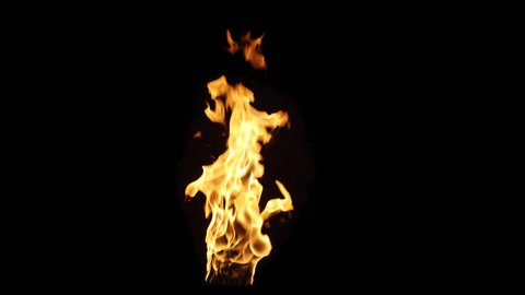 Real fire flame with alpha. Shot on RED in 4K and slow motion. Simple video-integration. Its pre-keyed and edited to retain its color when composited in your video.
Version 103