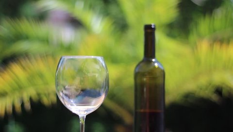 a male fills a wine glass with red wine in a nice garden or yard environment, a palm is visible in the background
