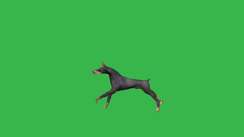 Running Deer Seamless Loop Animation の動画素材 ロイヤリティフリー Shutterstock Running Deer Seamless Loop Animation の動画素材 ロイヤリティフリー Shutterstock