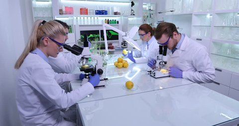 Laboratory Researchers Test Genetically Modified Lemon Fruit Gmo Bio Food Study