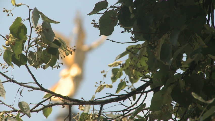 Angel of Victory behind some green leaves