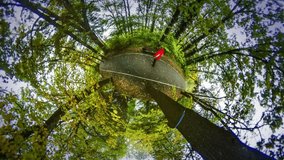 Alley by Small Lake, Tiny Little Planet 360 Degree Timelapse. Urban Ecology. Sports and Recreation in Humid Park, Marvelous Walk Outdoors, Park or Forest in Autumn. Fresh Air Breathing, Health Care.
