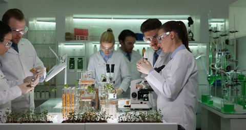 Team of Scientists in Laboratory Analyzes Bio Plants Seeds Biochemistry Concept