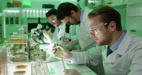 Laboratory Researchers Test Genetically Modified Plants Seeds Gmo Food Culture