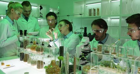 Team of Organic Agriculture Researchers Work Genetic Industry Laboratory Staff