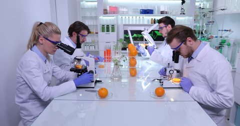 Team of Biochemist Examine on Microscope Orange Fruits Research Laboratory Room