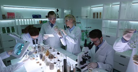Biologists Team Work Examine Plants Microscope Laboratory Biological Researches