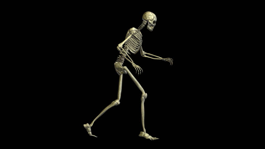 skeleton running morphing into human loop Stock Footage Video (100% ...