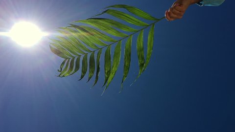Hand waving a palm tree branch against a deep blue majestic sky with sun and lens flare on Palm Sunday