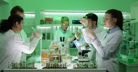 Busy Team of Researchers Work with Genetically Modified Plants Seeds Laboratory