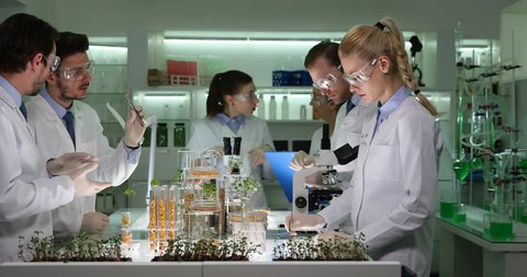Biochemists Team Work Examining Genetically Engineered Plants Seeds Laboratory