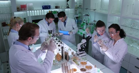 Biochemists Specialists People Work Genetically Modified Plants Laboratory Team