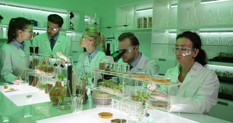 Scientist Wearing Lab Coat Working in Laboratory Genetic Engineering Techniques
