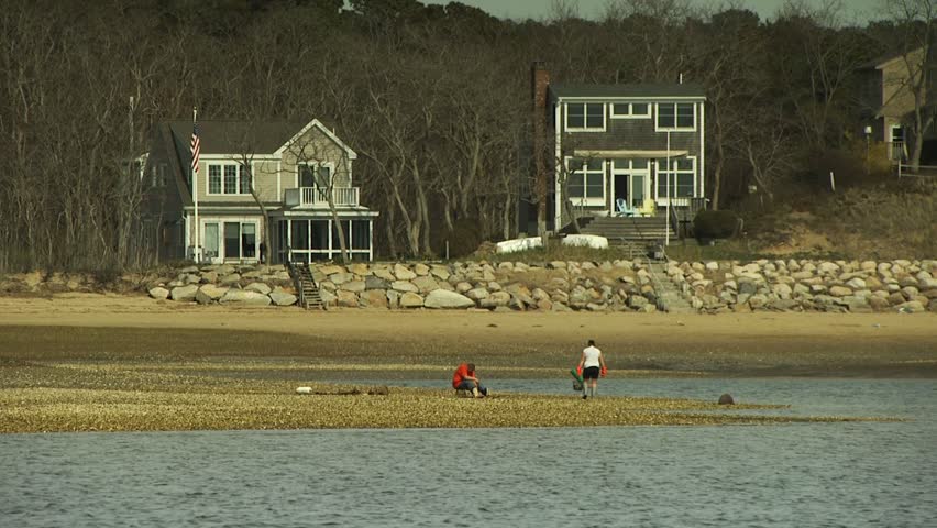 CAPE COD, MASSACHUSETTS - JUNE 13, 2008: Two people digging for clams on Cape Cod beach