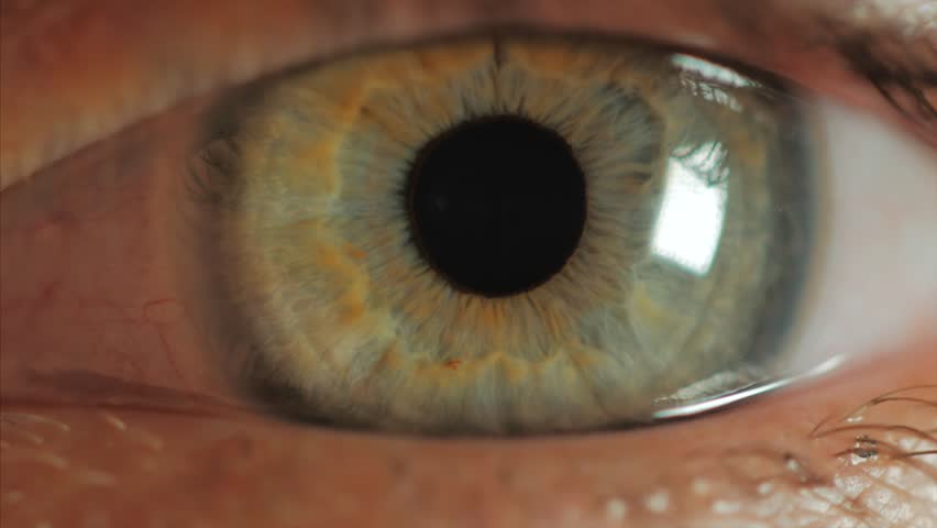 Extreme close up human eye iris in 4K UHD video. Human eye iris contracting. Extreme close up. 4K UHD 2160p footage. | Shutterstock HD Video #25749188