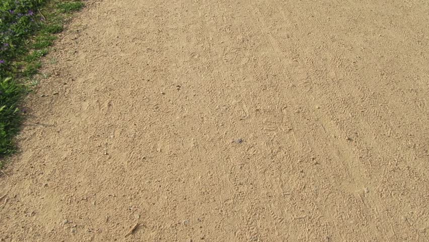 Parks Walk | Shutterstock HD Video #25770512