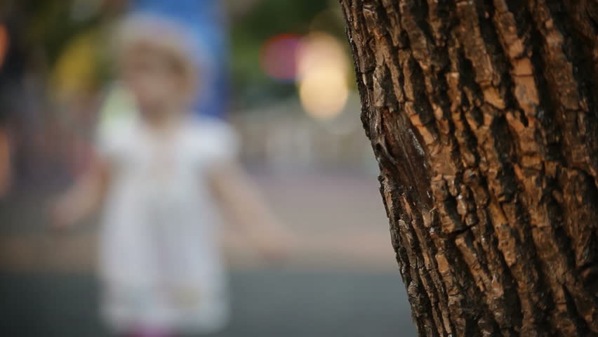  Blurred  Background Playground Foreground  Bark Stock 