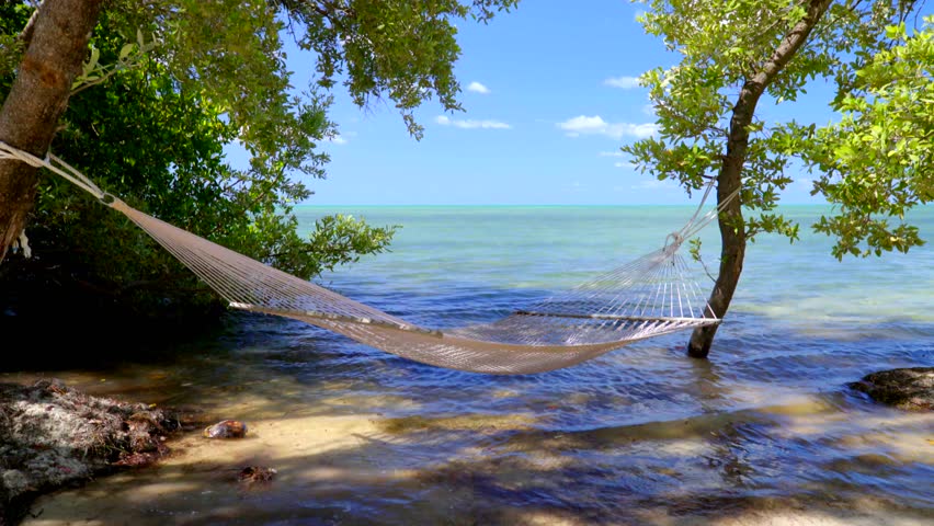 Hammock Hung from Trees Over the Water