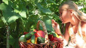 Child Harvesting Fresh Vegetable in the Garden