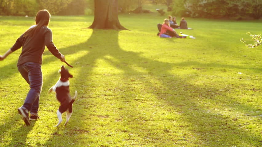 A young girl plays with a dog in the Park. | Shutterstock HD Video #25844363
