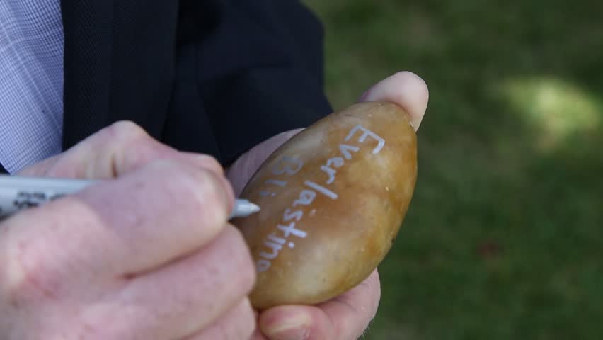 A man at a wedding reception writing a note on a wishing stone for the couple