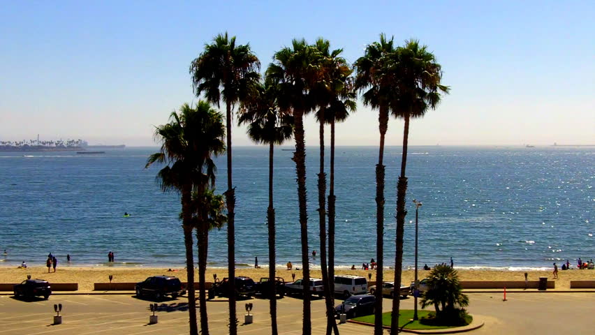 An emblematic Southern California shot featuring palm trees swaying in the sea