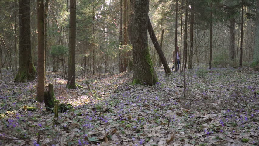 beautiful young girl goes through forest flowers