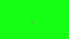 Pteranodon Dinosaurs Fly Attacks Dies Front Green Screen Markers 3D Rendering