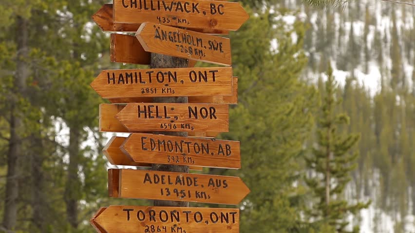 Travel direction world wide city signs on tree