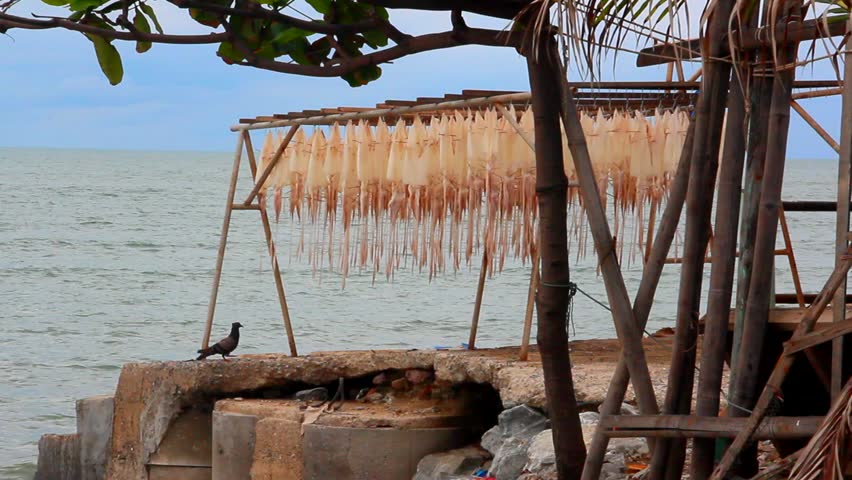 Ocean view with Fisherman
