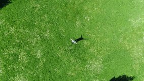 Aerial video view of a child standing on the park grass