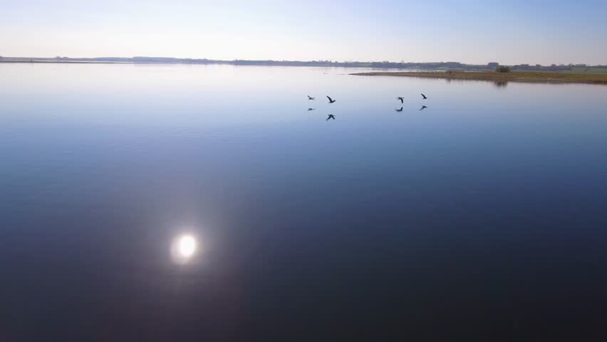 4K Aerial Geese Fly Low Over Water Part 7 Camera flying close behind a flock of geese flying low over the water, flying over a small island and land in the water.  the sun is shining 