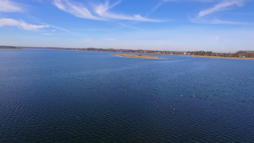 4K Aerial Geese Fly Low Over Water Part 10 Flock of geese take off from the water and flying towards a small island. The water is calm, the sun is shining from a cloudless sky