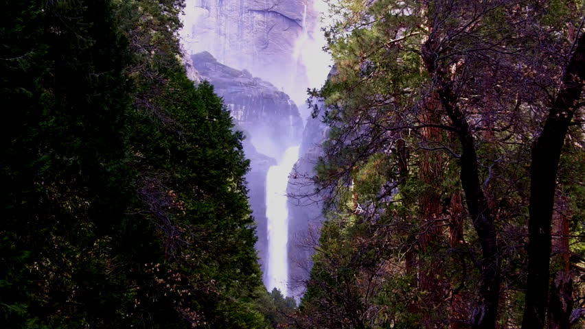 Lower Yosemite Falls as seen through a gap in the pine forest. This shot has a