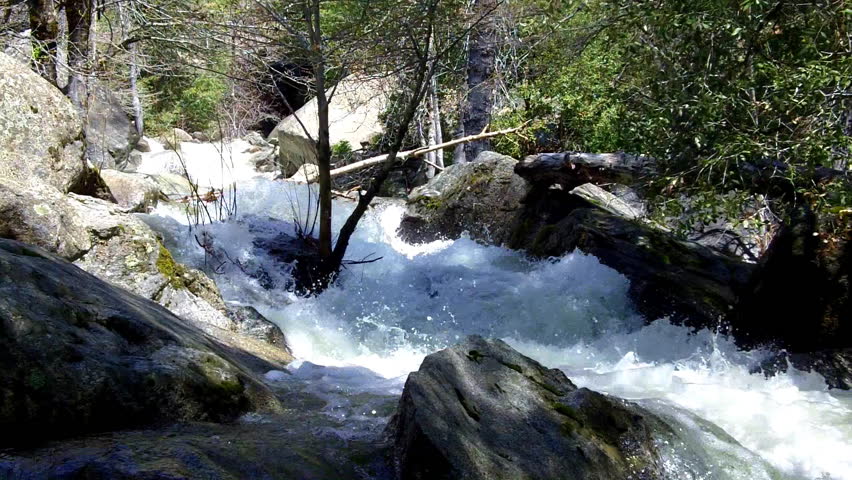 Water from Yosemite Falls forms a creek and rushes down a forested and rocky