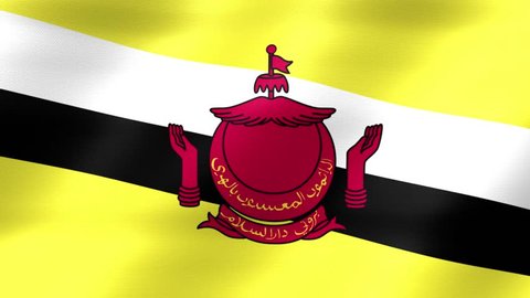 Brunei Flag