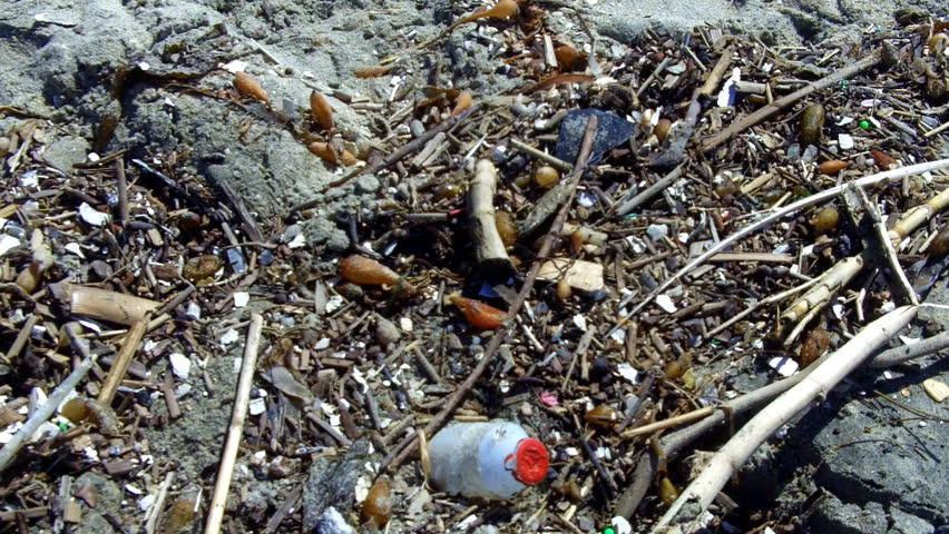 An medium shot of bits of plastic and styrofoam trash mixed with organic flotsam