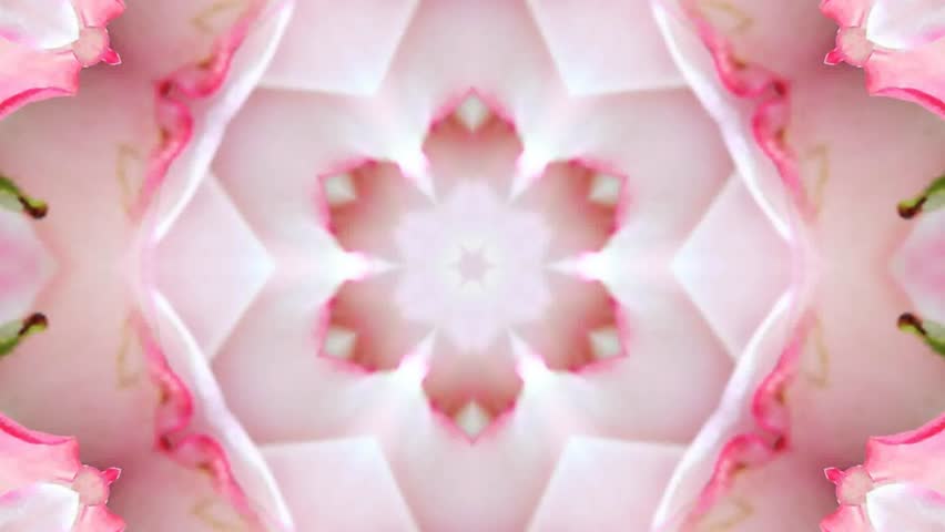 kaleidoscope rose Stock Footage Video (100% Royalty-free) 25971332 ...