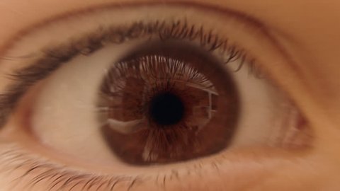Journey through the eye - camera zooms through pupil, optic nerve and traverses neural network inside the brain. Neuron animation is loop-able from 8:00 to end.