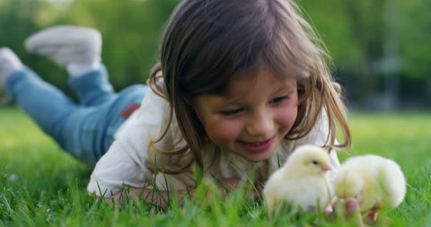 The best moments from life, the sweet girls, plays in the park with little  chickens(yellow), on the background of green grass and trees, the concept: children, love, ecology, environment, youth.