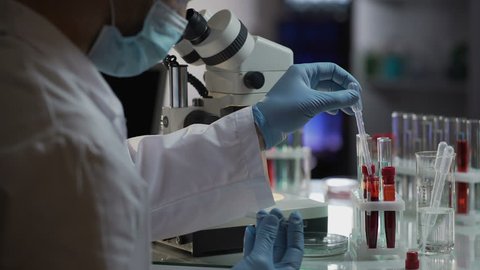 Lab assistant makes urgent blood test for detection of antibodies and infections. Scientist examining sample, looking into microscope, chemical experiement. Researcher working in clinic, healthcare
