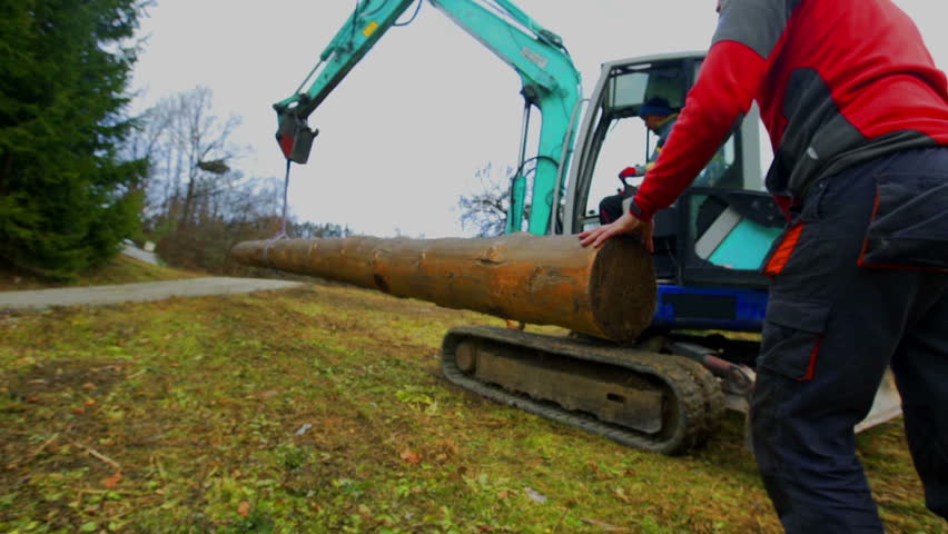 Supervising the carrying of the tree trunk. A crane is holding a trunk and is taking it somewhere else.
