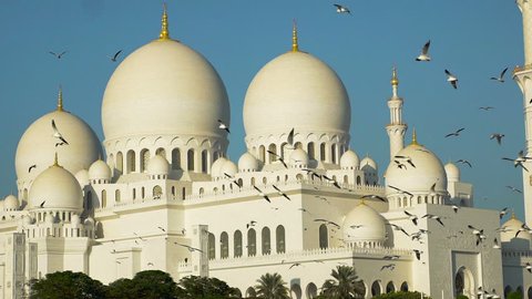 Sheikh Zayed Grand Mosque Abu Dhabi.Slow motion Birds In font of Grand Mosque Abu Dhabi. Grand Mosque. Slow motion Birds In font of Grand Mosque. Color Gradient.