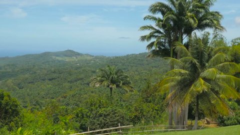 Barbados overlook 