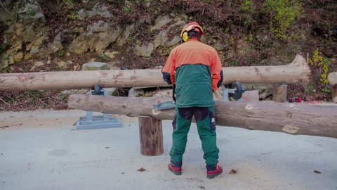 A young forester is cutting off certain parts on the tree trunk. He is using a chain saw, he is wearing protection clothes and a protection helmet.
