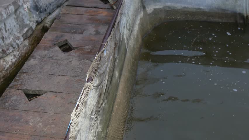 Fish farm. Rainbow trout