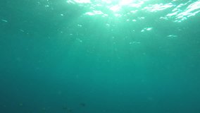 Underwater sunlight in ocean
