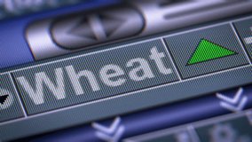 The Index of Wheat on The Screen. Up. Looping. - Powered by Shutterstock - Get 15% off with code: PIKWIZARD15