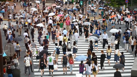 Tokyo, Japan - August 30, 2016: People on famous Shibuya Crossing. Crowd walking across the road on pedestrian crossing