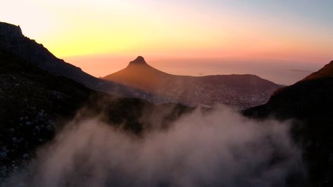 Drone reveal trough the trees on Signal hill into Cape Town city during sunrise.